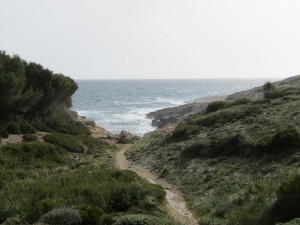 IMG_5416 (Medium)